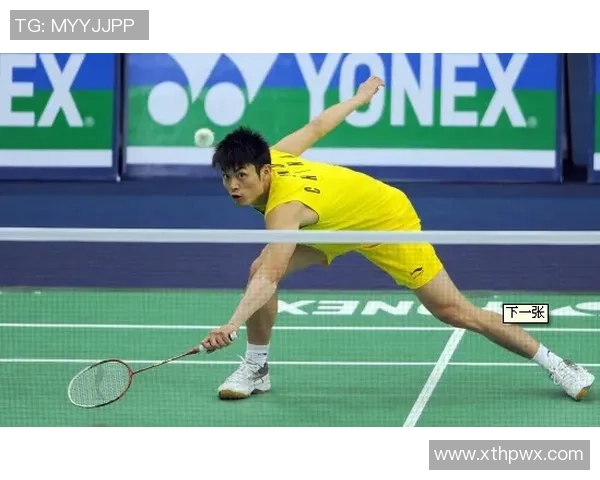 深入分析南京羽毛球队独特进攻战术与比赛策略的全景解读 深入分析南京羽毛球队独特进攻战术与比赛策略的全景解读