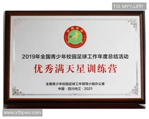 深圳足球队实力解析:大满贯点评揭示球队潜力与挑战 深圳足球队实力解析:大满贯点评揭示球队潜力与挑战