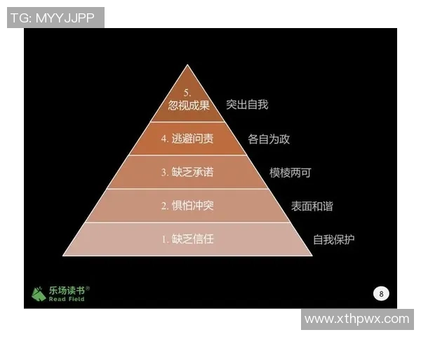 数据分析：南京羽毛球队的团队协作表现
