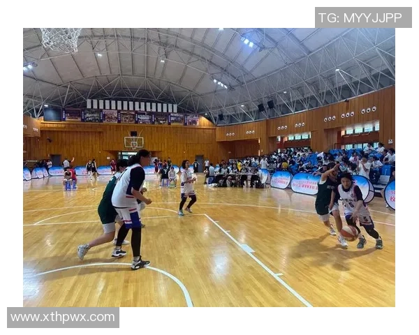 篮球专题：聚焦南京篮球队的配合