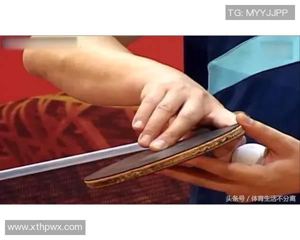 从零开始：乒乓球速度完全攻略