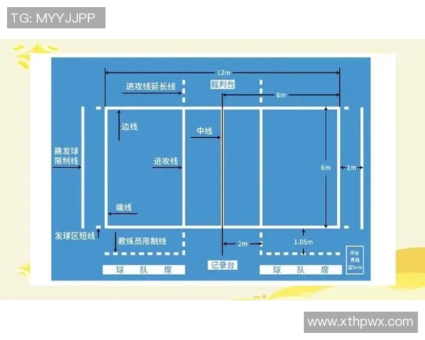 排球新手攻略：状态入门指南
